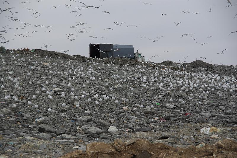 012409 Waco Landfill 021.jpg